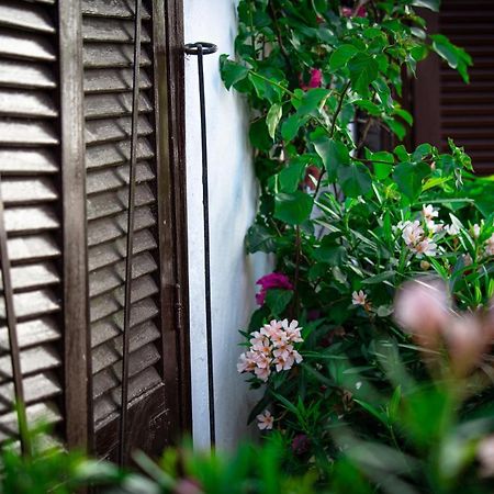 El Molino エステポナ エクステリア 写真